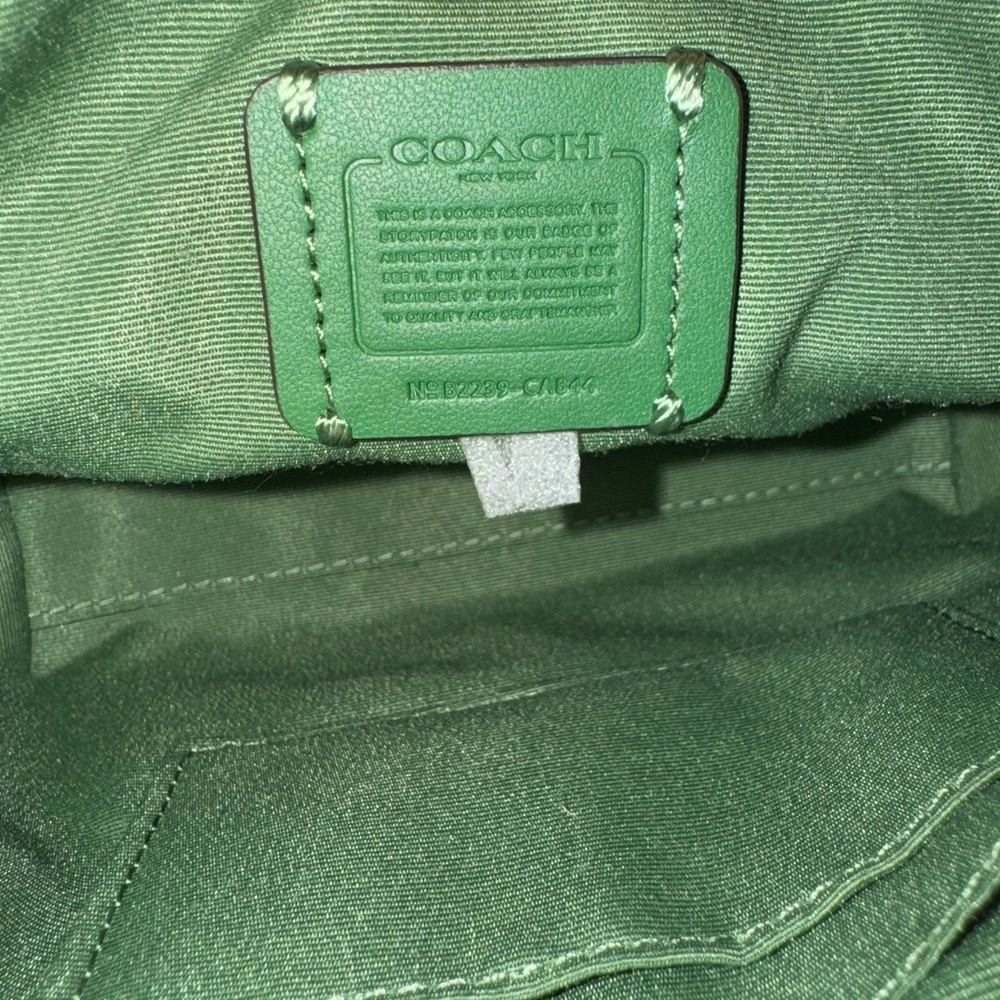 Coach CA844 Mini Gallery Crossbody Crossgrain Leather Green Brass Hardware - Picture 6 of 7